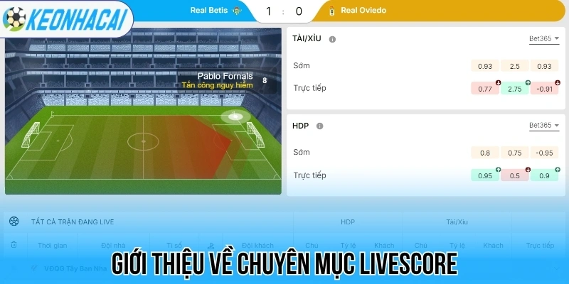 Livescore – Trực Tuyến Bóng Đá 247 Chi Tiết Và Chính Xác 23 Giới thiệu về chuyên mục livescore