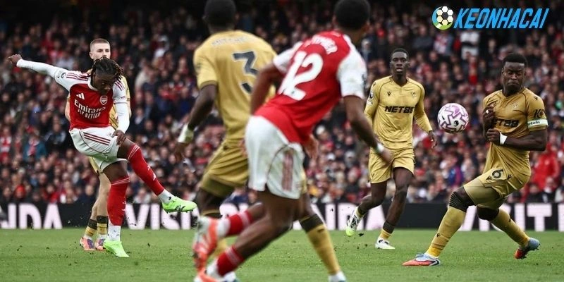 Kết quả thi đấu gần đây của Brighton vs Manchester United