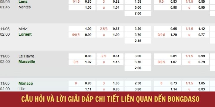 Câu hỏi và lời giải đáp về Bongdaso bạn nên biết