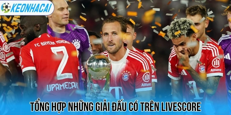 Livescore – Trực Tuyến Bóng Đá 247 Chi Tiết Và Chính Xác 29 Tổng hợp những giải đấu có trên livescore