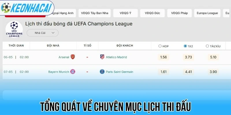 Lịch thi đấu bóng đá hôm nay 23 Tổng quát về chuyên mục lịch thi đấu