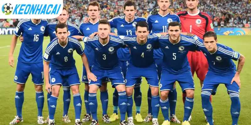 Đội hình ra sân dự kiến của đội Canada vs Bosnia và Herzegovina 